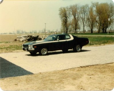 74 Road Runner2.jpg 74 Road Runner2.jpg