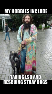 LSD Dog.PNG