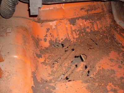 roadrunner 003.jpg roadrunner 003.jpg