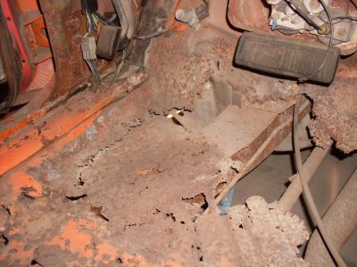 roadrunner 005.jpg roadrunner 005.jpg