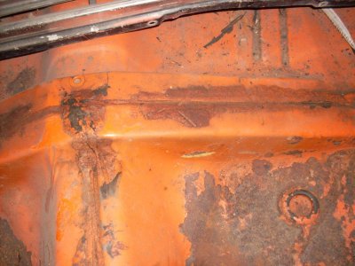 roadrunner 006.jpg roadrunner 006.jpg