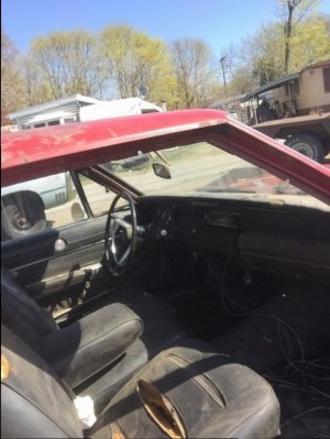 image.jpeg image.jpeg
