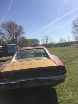 image.jpeg image.jpeg