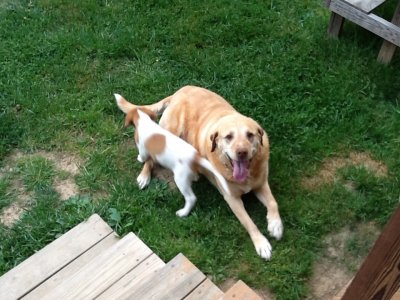 image.jpeg image.jpeg