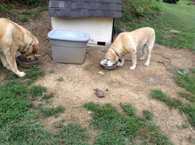 image.jpeg image.jpeg