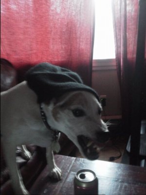 IMG_20120111_155353.jpg IMG_20120111_155353.jpg