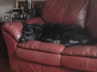 IMG_20121102_125905.jpg IMG_20121102_125905.jpg