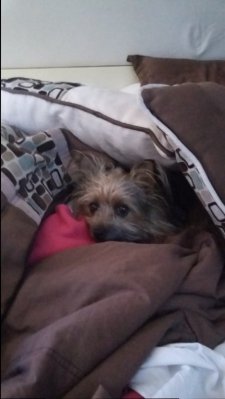 20160110_151747.jpg 20160110_151747.jpg