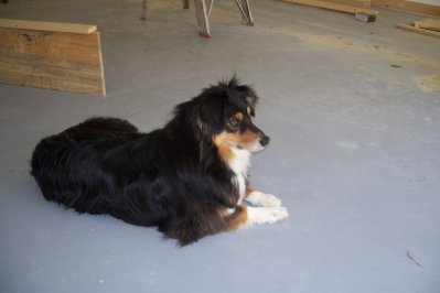 100_1283.JPG 100_1283.JPG