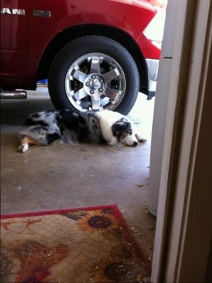 IMG_1167.JPG IMG_1167.JPG