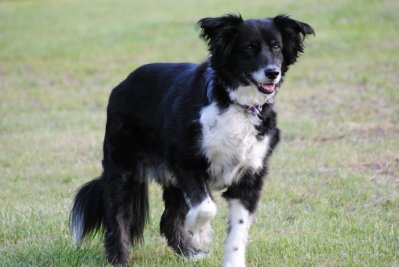 week of 5-10-12 152.jpg week of 5-10-12 152.jpg