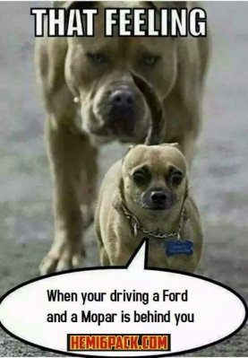 Dog Driving a Ford with a Mopar behind you.jpg