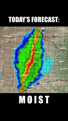 image3.png