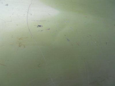 DSCN8478.JPG