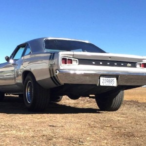 super bee wanna beee