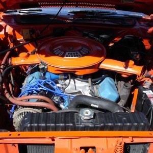 Rocky View Show  Shine 2015 016.JPG