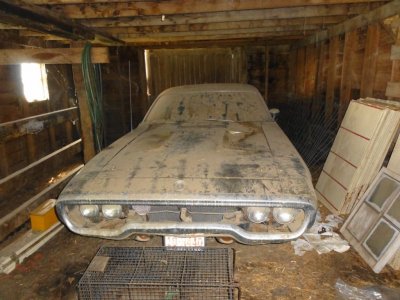 DSC06725.jpg DSC06725.jpg