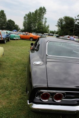 IMG_7017.JPG IMG_7017.JPG