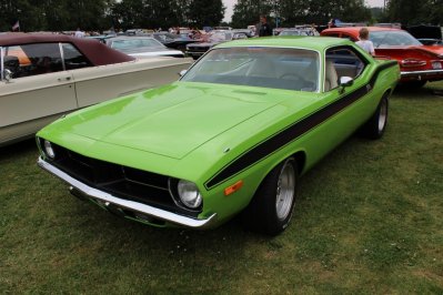 IMG_7030.JPG IMG_7030.JPG