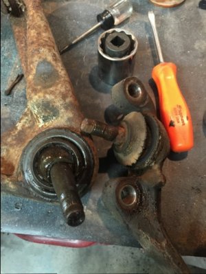 image.jpeg image.jpeg