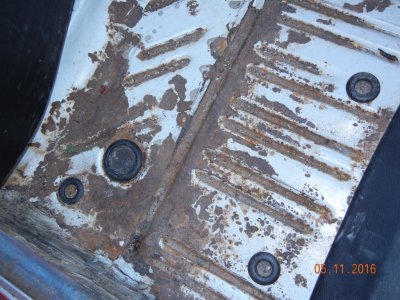 DSCN0781.JPG