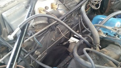 20160525_170724.jpg
