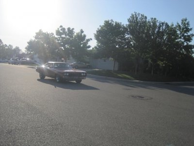 IMG_3503.JPG IMG_3503.JPG