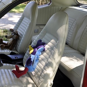 8-2-2015 car pictures 031.JPG