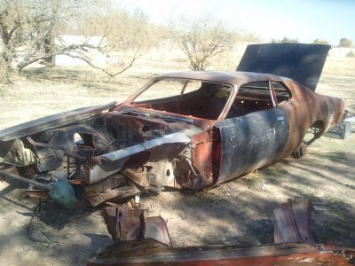 2011-02-14 12.43.06.jpg