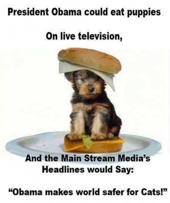 Obama Liberal media (2).jpg