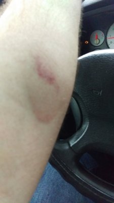 IMAG0089_BURST009.jpg