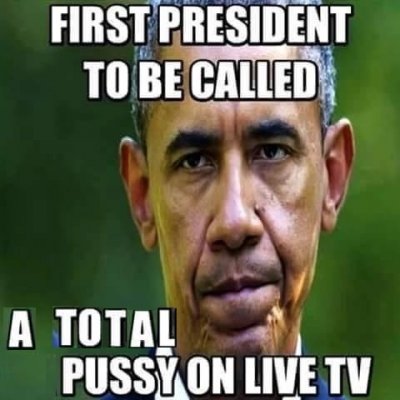 Obama Called A Total Pussy on live TV by Ret. Lt. Col. Peters (1).jpg