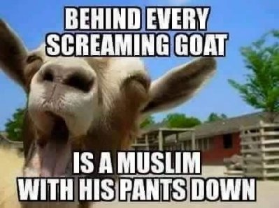 goat.jpg