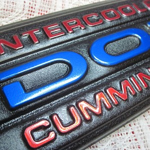 006.JPG