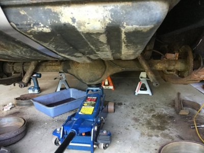 IMG_0537.JPG IMG_0537.JPG