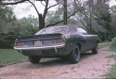 IMG_0011.jpg IMG_0011.jpg