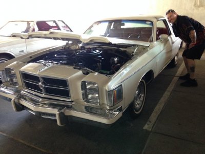 image.jpeg image.jpeg