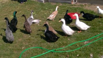 WP_20160330_11_37_25_Pro.jpg