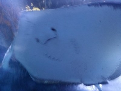 20160606_140223.jpg