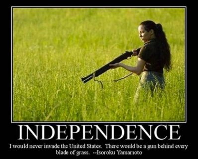Gun behind every blade of grass.jpg