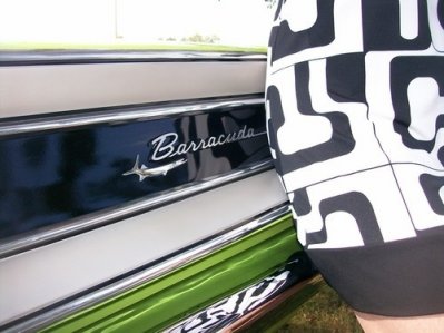 Trunk trim closeup.jpg