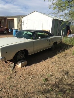 IMG_0453.jpg IMG_0453.jpg