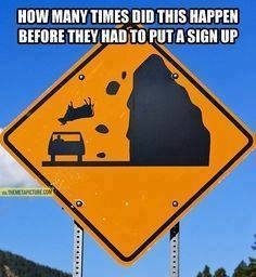 Cow sign.jpg