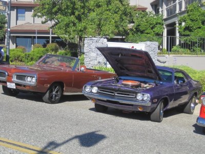 IMG_3578.JPG IMG_3578.JPG