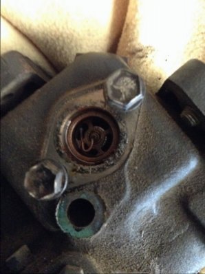 image.jpeg image.jpeg