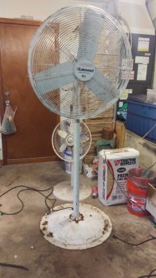 IMAG0233_BURST002.jpg
