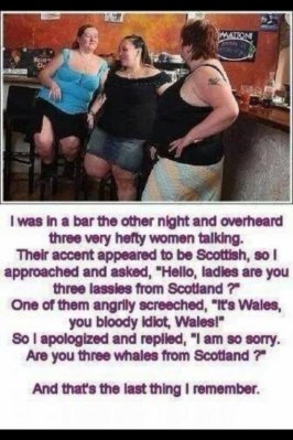 hefty-scottish-whales.jpg_thumb.jpg