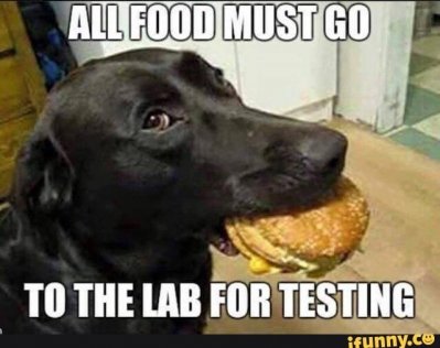 lab.jpg