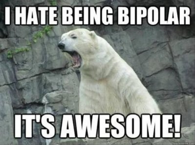 awesome bipolar.jpg