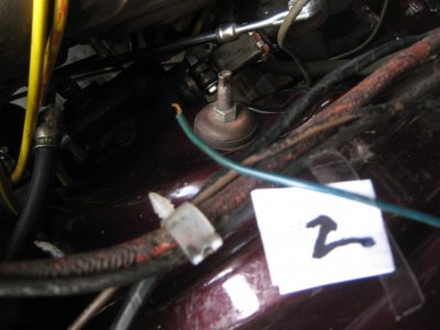 IMG_5437.JPG IMG_5437.JPG